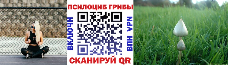 Галлюциногенные грибы ЛСД Андреаполь